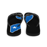 Flip-Flops