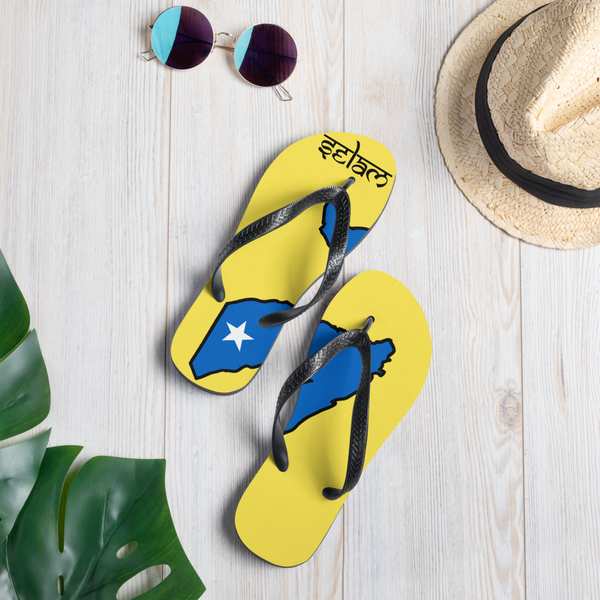 Flip-Flops