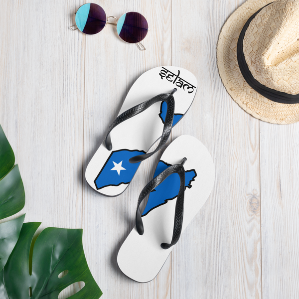 Flip-Flops