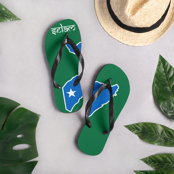 Flip-Flops