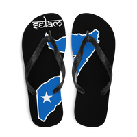 Flip-Flops