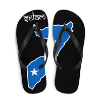Flip-Flops